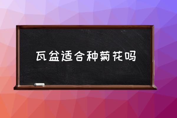 花盆中瓦盆在哪儿适用 瓦盆适合种菊花吗