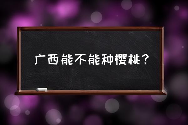 广西能种樱桃苗木吗 广西能不能种樱桃？