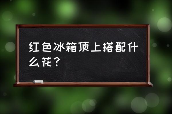 冰箱顶上放什么盆栽 红色冰箱顶上搭配什么花？