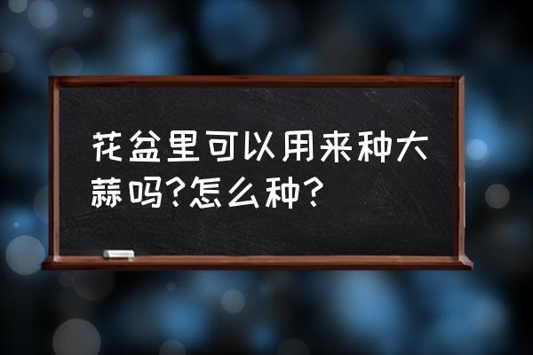 花盆里喷过杀虫剂可以栽蒜吗 花盆里可以用来种大蒜吗?怎么种？