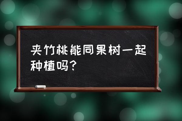 果树下种植什么花卉 夹竹桃能同果树一起种植吗？