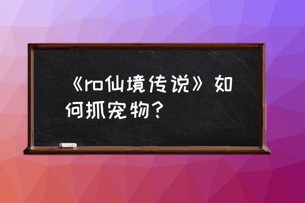 仙境传说ro小魔女在哪里捕捉 《ro仙境传说》如何抓宠物？