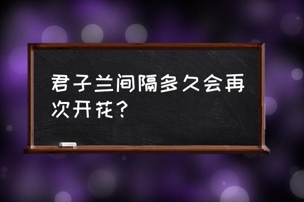 君子兰一年开2次花常见吗 君子兰间隔多久会再次开花？