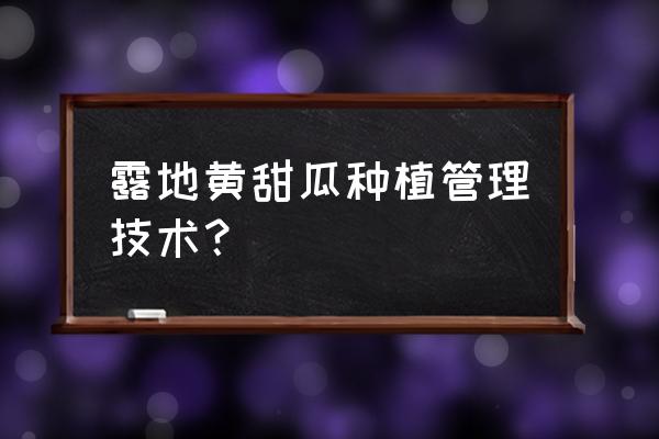 适合露地甜瓜的种植技术有哪些 露地黄甜瓜种植管理技术？