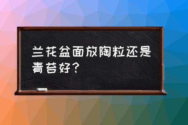 如何选择兰花盆面 兰花盆面放陶粒还是青苔好？