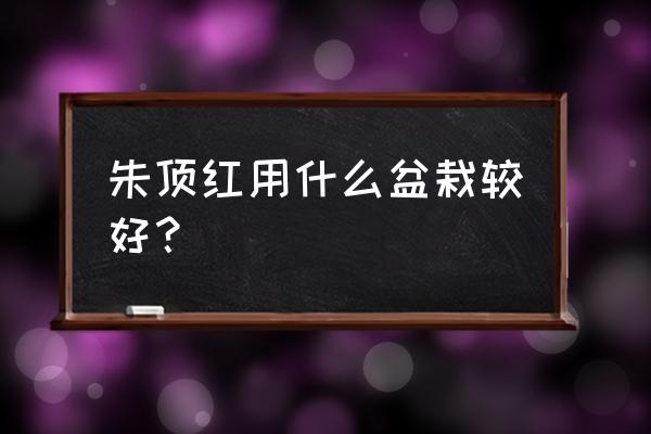 朱顶红花盆什么材质好 朱顶红用什么盆栽较好？