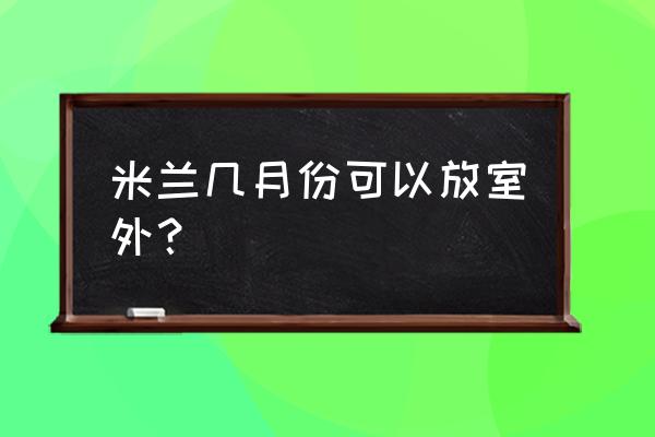 米兰花什么时候能搬到户外 米兰几月份可以放室外？