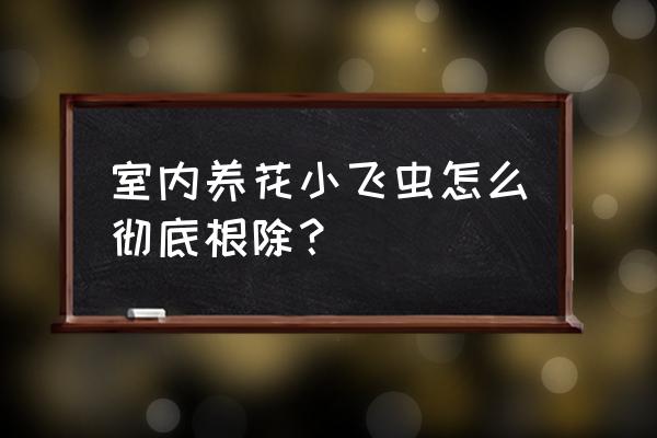 家里养花很多小飞虫怎么办 室内养花小飞虫怎么彻底根除？