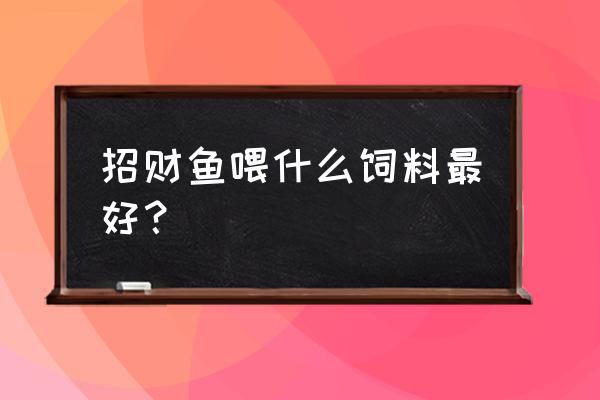 招财鱼喂什么牌子饲料长得好 招财鱼喂什么饲料最好？