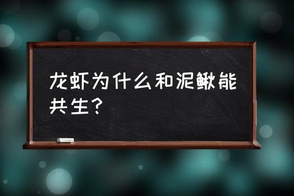 泥鳅对小龙虾养殖有什么危害 龙虾为什么和泥鳅能共生？