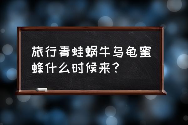 旅行青蛙游戏攻略蜗牛怎么喂食 旅行青蛙蜗牛乌龟蜜蜂什么时候来？