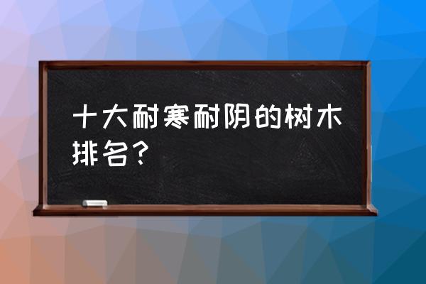 耐阴小乔木有哪些树种 十大耐寒耐阴的树木排名？