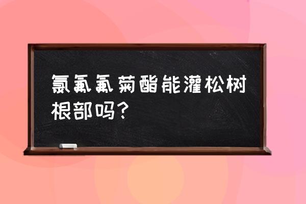 松树盆栽用什么杀虫剂 氯氟氟菊酯能灌松树根部吗？