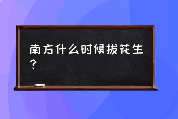 湛江几时拔花生 南方什么时候拔花生？