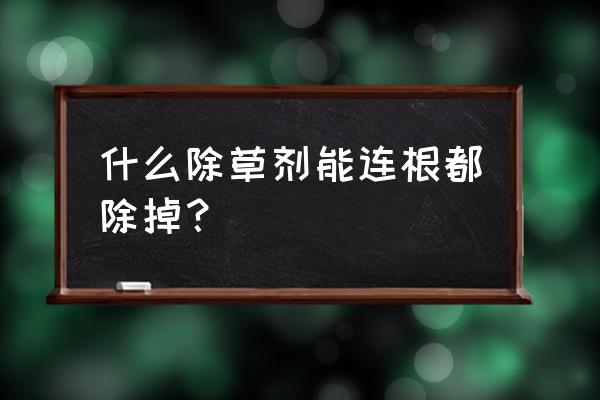 哪种灭生性除草剂好 什么除草剂能连根都除掉？