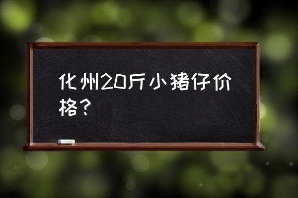 今天化州猪价多少钱 化州20斤小猪仔价格？