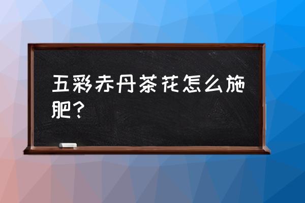 茶花上什么复合肥 五彩赤丹茶花怎么施肥？