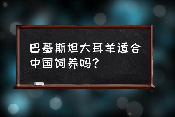 大耳羊在黑龙江能养吗 巴基斯坦大耳羊适合中国饲养吗？