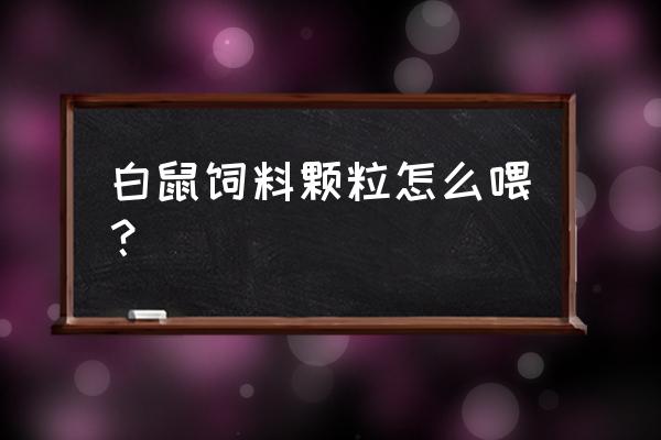 小鼠高脂饲料怎么喂 白鼠饲料颗粒怎么喂？