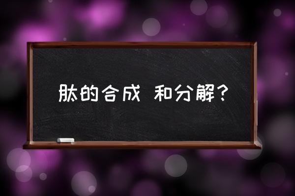 多肽从树脂切割下来后怎么处理 肽的合成 和分解？