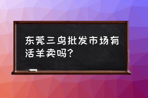 东莞养羊在什么地方 东莞三鸟批发市场有活羊卖吗？