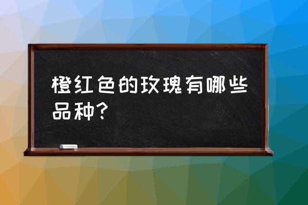 红颜色的玫瑰花都叫什么名字 橙红色的玫瑰有哪些品种？