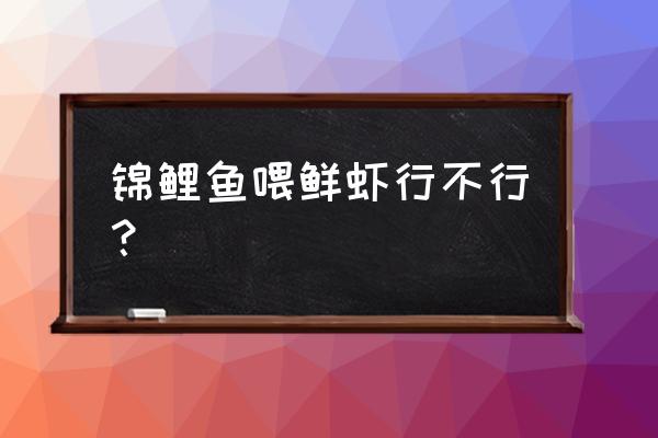 水库虾能放鱼缸养锦鲤吗 锦鲤鱼喂鲜虾行不行？