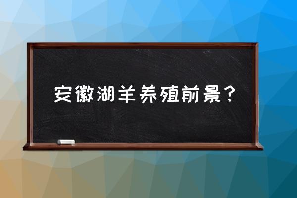 合肥哪有养羊 安徽湖羊养殖前景？