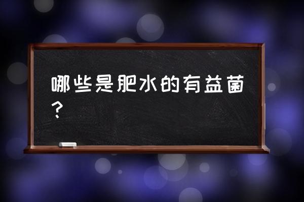 水产养殖肥水用什么菌种好 哪些是肥水的有益菌？