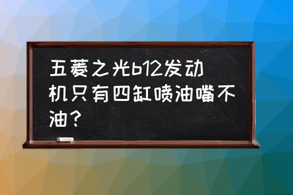 五菱之光喷油嘴是几孔 五菱之光b12发动机只有四缸喷油嘴不油？