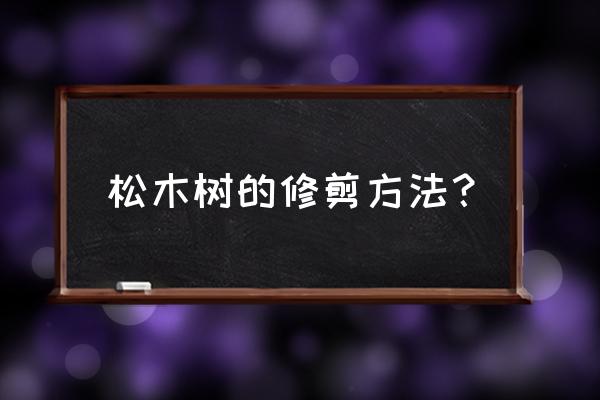 松树苗怎么剪枝 松木树的修剪方法？