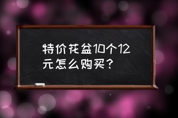 东南亚风格花盆价格多少 特价花盆10个12元怎么购买？