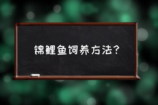 锦鲤的怎么养殖技术 锦鲤鱼饲养方法？