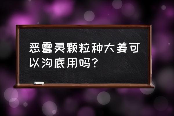 生姜地用土壤杀菌剂有哪些 恶霉灵颗粒种大姜可以沟底用吗？