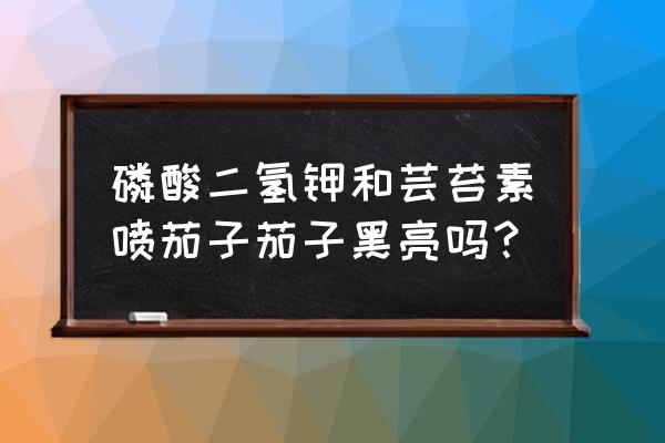 茄子叶面肥什么好 磷酸二氢钾和芸苔素喷茄子茄子黑亮吗？