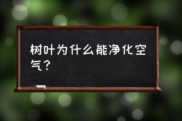 绿色植物为什么可以净化空气 树叶为什么能净化空气？