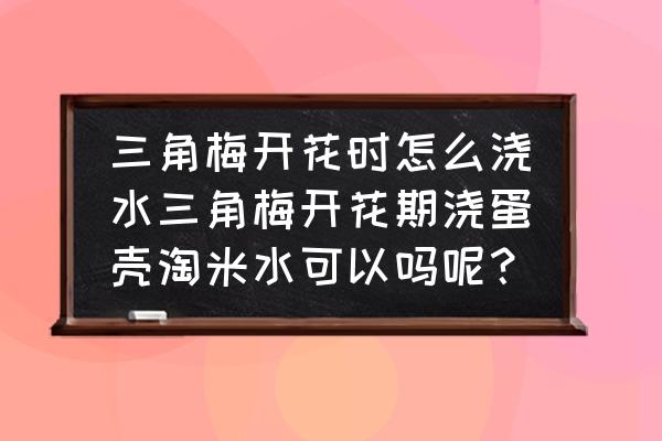 三角梅花期的时候怎样浇水 三角梅开花时怎么浇水三角梅开花期浇蛋壳淘米水可以吗呢？