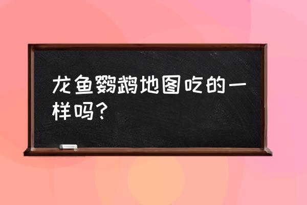 龙鱼吃鹦鹉鱼的饲料吗 龙鱼鹦鹉地图吃的一样吗？