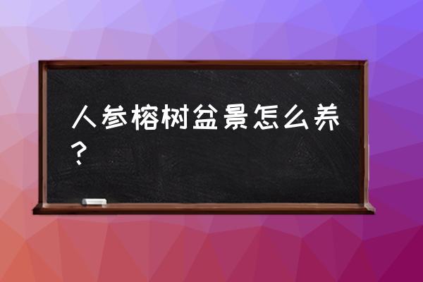 人参榕树盆景冬季怎么养 人参榕树盆景怎么养？