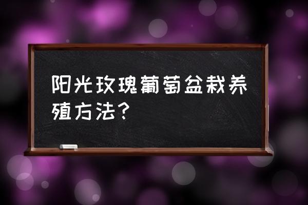 盆栽葡萄夏天怎么修剪 阳光玫瑰葡萄盆栽养殖方法？