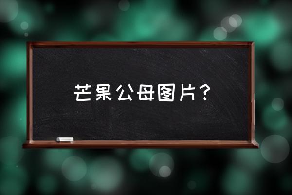 芒果树怎么分公母 芒果公母图片？