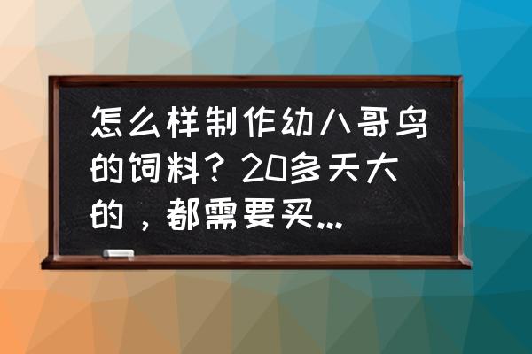 八歌幼鸟吃什么味饲料 怎么样制作幼八哥鸟的饲料？20多天大的，都需要买什么配料？