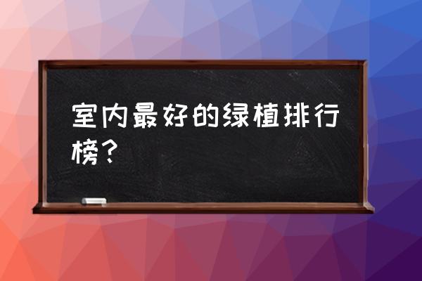 室内摆放什么绿色植物 室内最好的绿植排行榜？