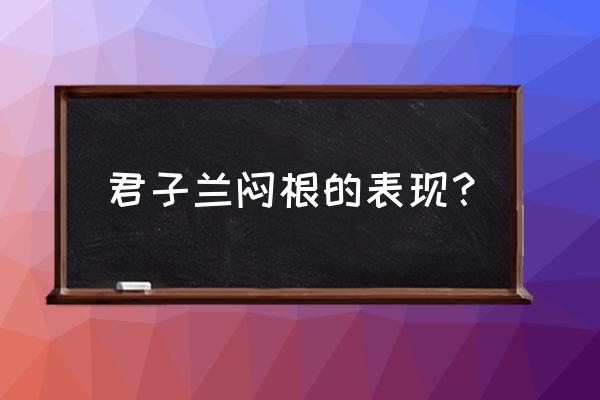 怎样看君子兰的根有没有烂 君子兰闷根的表现？