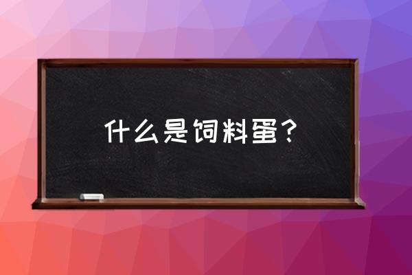 饲料鸡蛋多少钱 什么是饲料蛋？