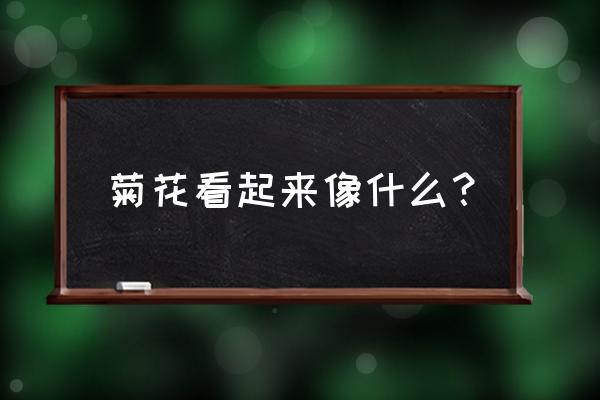 菊花像什么几点开放 菊花看起来像什么？