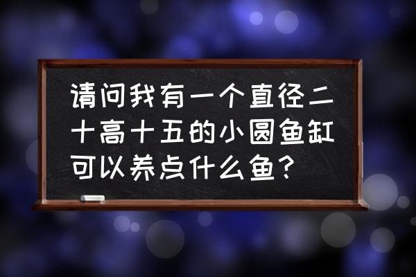 圆缸能养鳌虾吗 请问我有一个直径二十高十五的小圆鱼缸可以养点什么鱼？