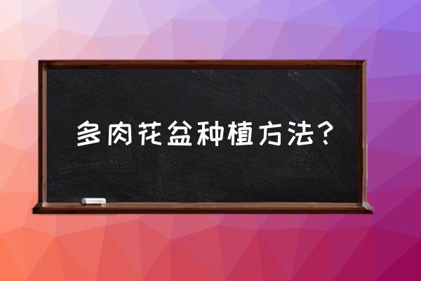 怎么种多肉盆栽 多肉花盆种植方法？