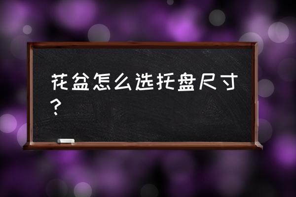 托盘比花盆大多少 花盆怎么选托盘尺寸？