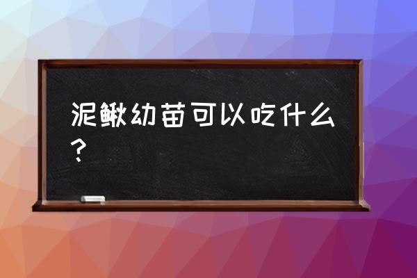 野生泥鳅苗多久开始吃饲料 泥鳅幼苗可以吃什么？